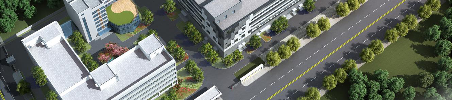 金沙集团www3354cc简介