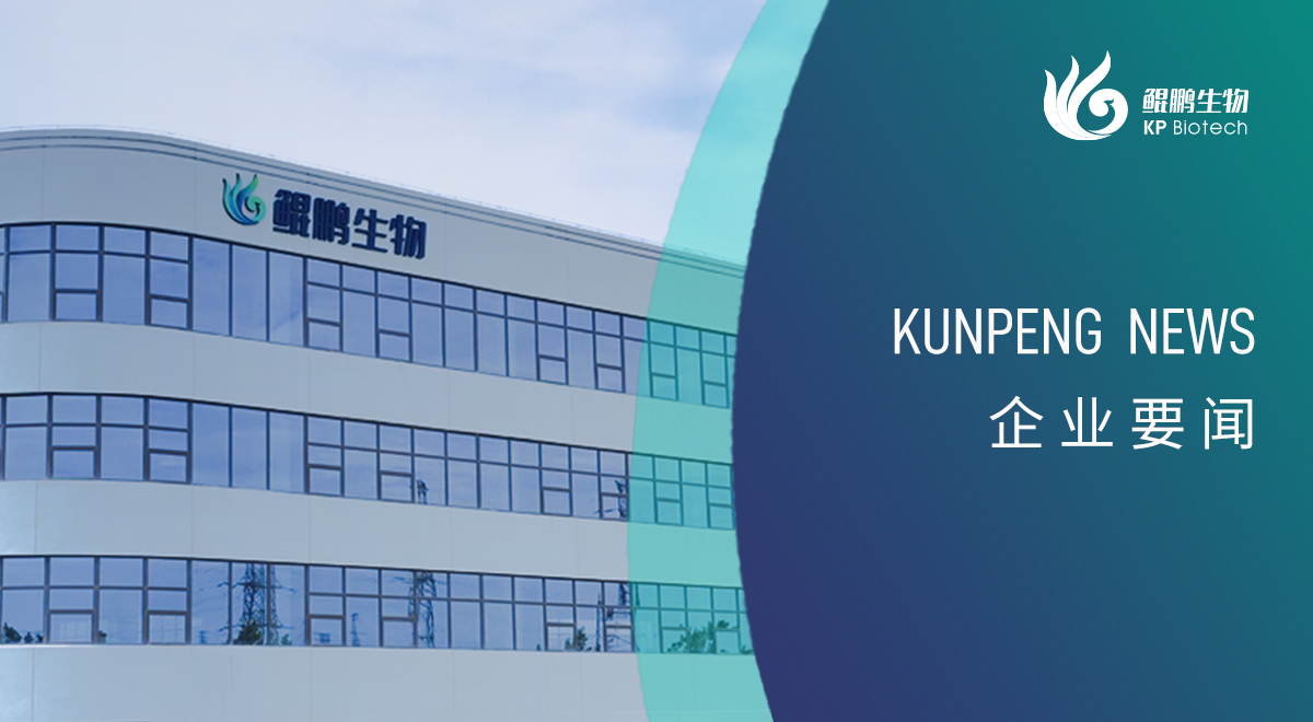 宁波金沙集团www3354cc新添两项政府荣誉认定 创新发展再获认可