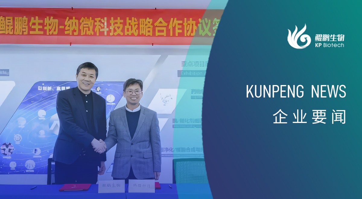 金沙集团www3354cc生物与纳微科技达成战略合作：深耕底层技术的双向奔赴